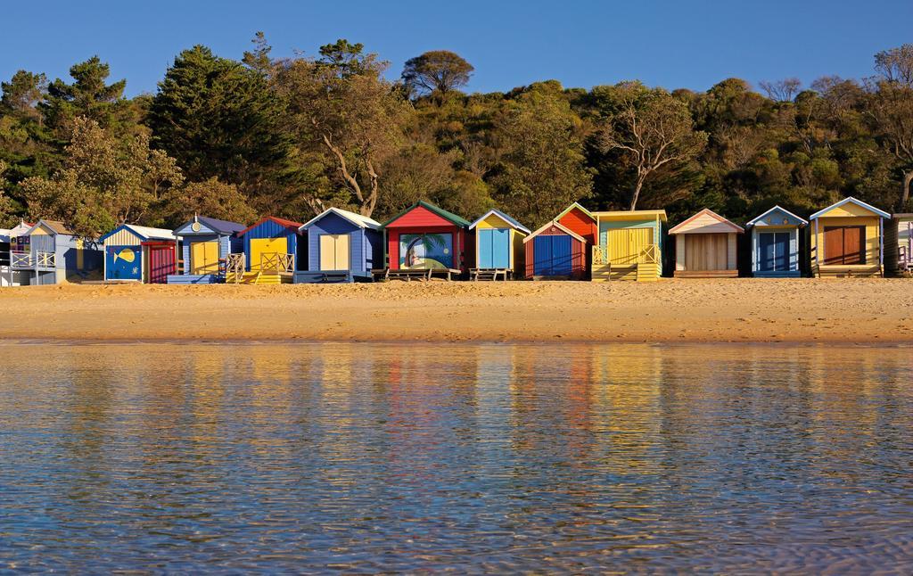 Bayplay Beach Cottage - Pet Friendly Queenscliff Room photo